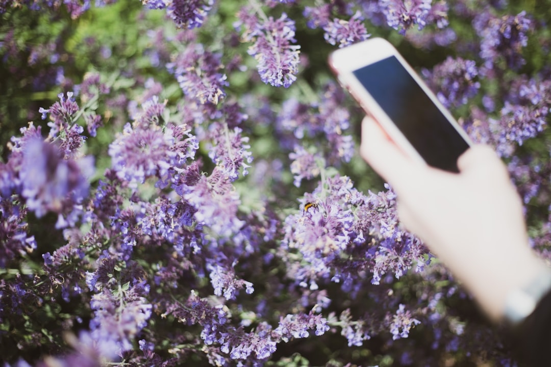Is It Weird to Text Thank You for Flowers, or Should You Call?