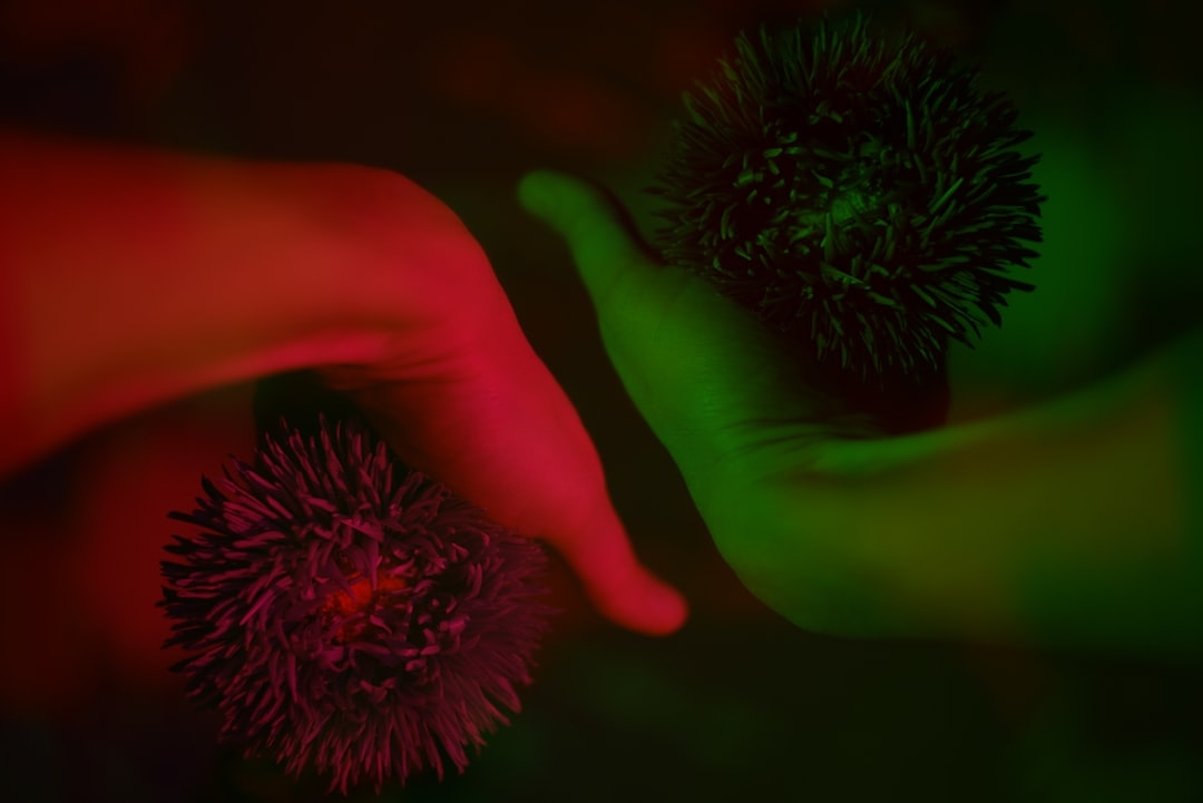 Should You Match the Flower Color to the Occasion?