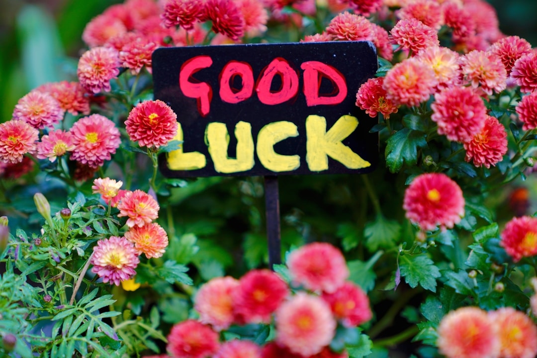 Should You Bring Flowers to a Potluck That Says No Gifts?