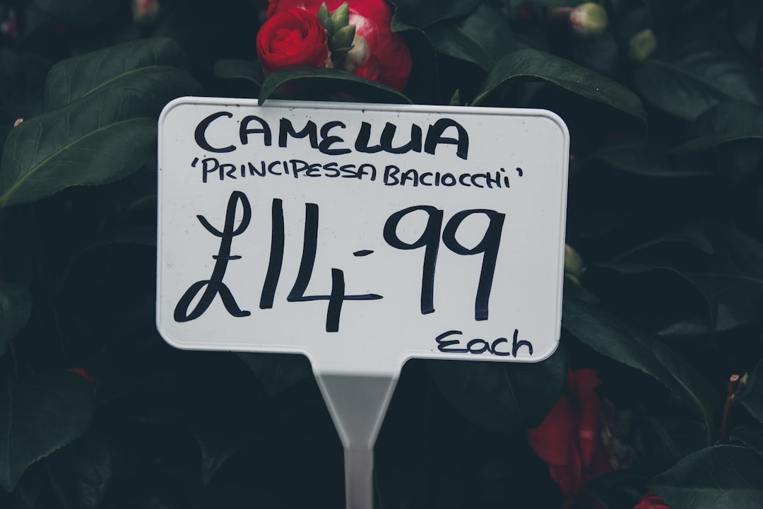 Should You Remove the Price Tag From Flowers Before Gifting?